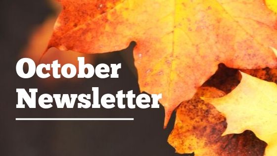 Thesis libreria telefono 05 picture